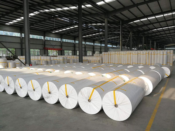 金塔狭缝式涤纶纺粘无纺布